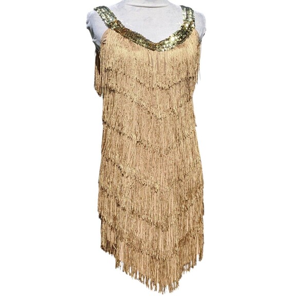 Gold Fringe Dress - Picture 1 of 6